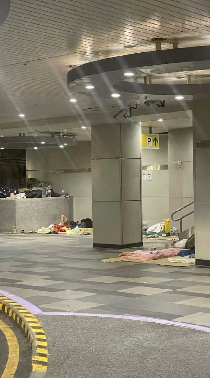 兄弟齊心陳媽媽大贏家/陳嘉偉嘎偉老蘇股市總司令/陳龍股市尊龍/丁超挽仙桃