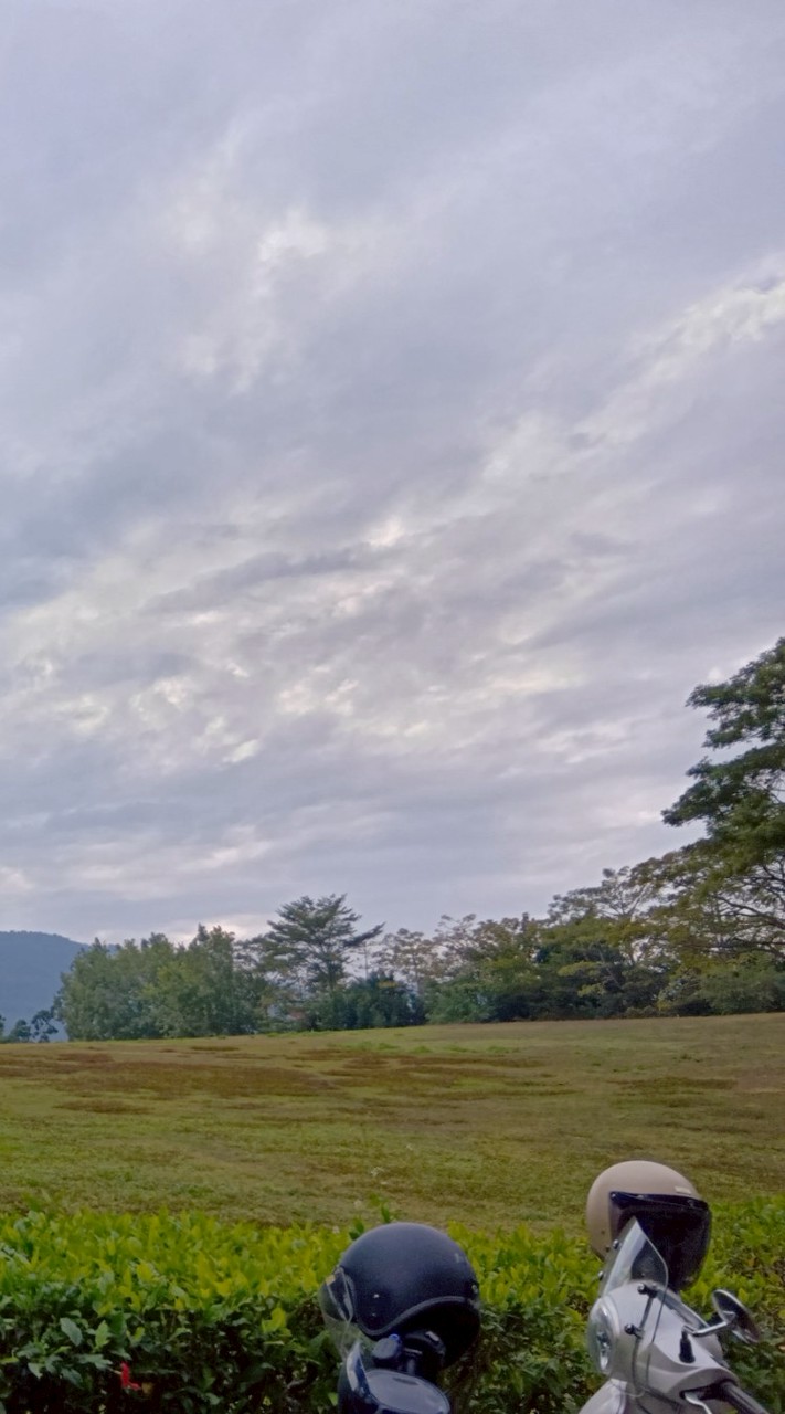 31天不熬夜挑戰