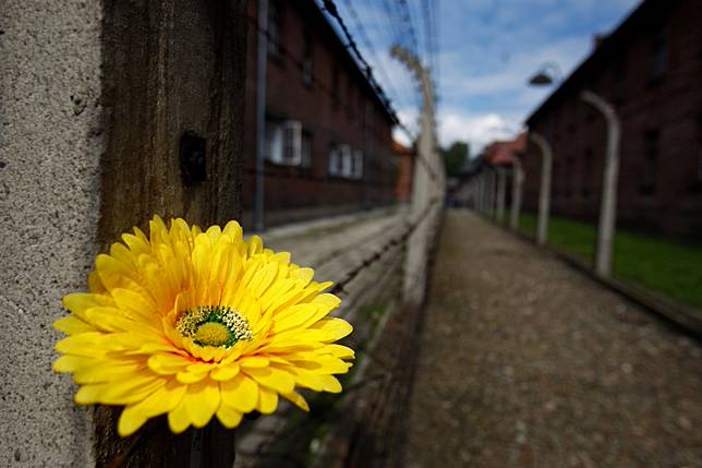 Auschwitz Museum Demands Amazon Drop Nazi Propaganda Books