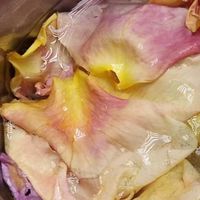 花桂民宿分享團