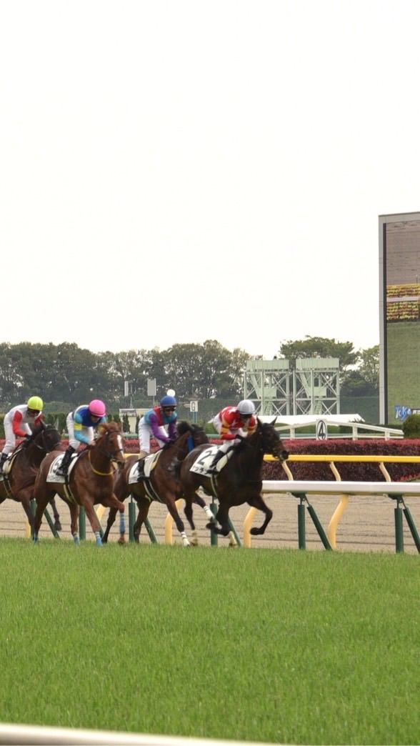 OpenChat 🏇うまーーーーい‼️地方競馬新聞🏇配布用Open chat🎁