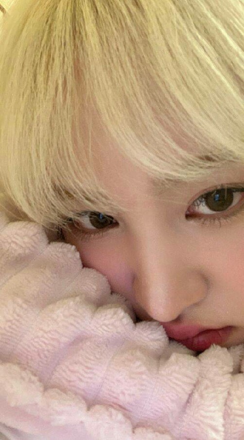 ♡⃘ ˖  ָ࣪ 🍒˚˖ ࣪ ตัวแทนขายแอค by͢ จีน˟. ซอนอา  ❀.ᐟ.ᐟ