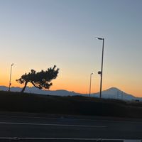 サーフィン遠征　湘南から千葉など