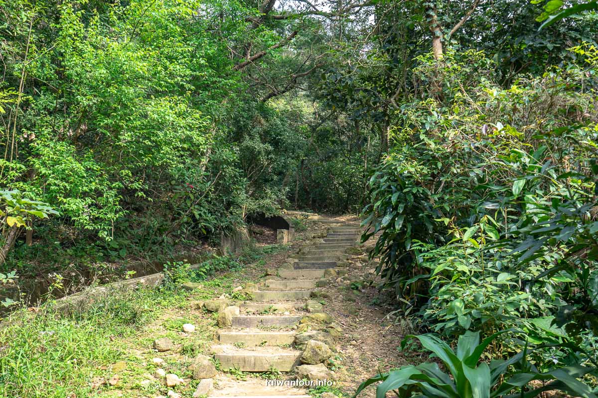 【西湖商圈網美一日遊】360度美景.美食景點推薦