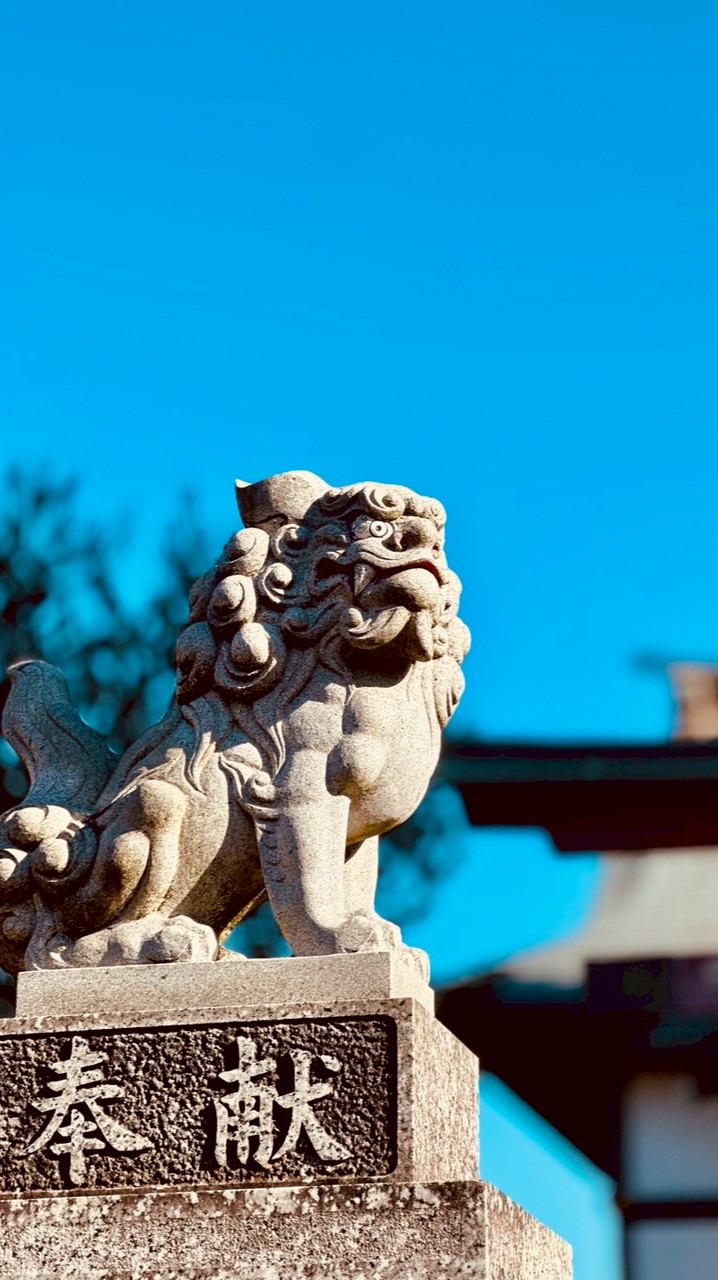 2026.1.5~9🎍リボプラ合宿