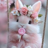 🌸和みの部屋で優しい雑談シニア(メイン部屋)