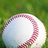 プロ野球好きな人