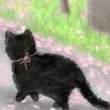 𓊪݀֯  ♡ ֗ app premium ࿔𓊪݀֯baxmon か ┈ ♡ ֗