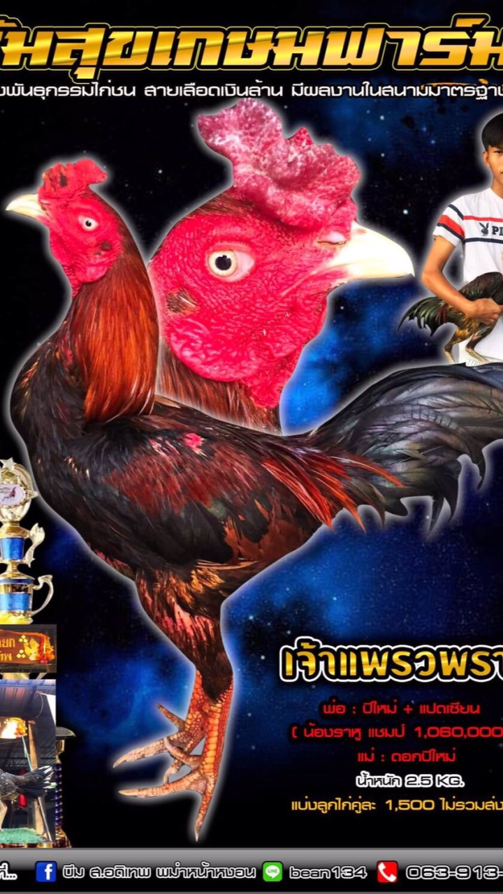 ส.สุขเกษม ฟาร์ม 1