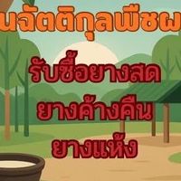 ลานยางฉัตติกุลบ้านตาเส็ด