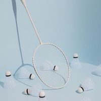 🏸啪蟻球🏸