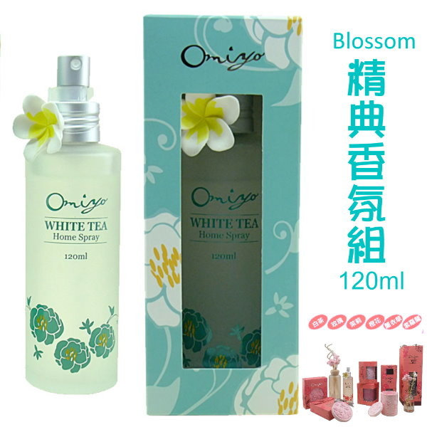 Blossom奈米銀空氣噴霧 (120ml)【台灣合格化妝品廠】