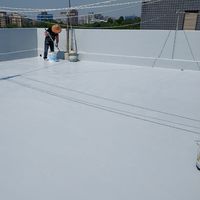 屋頂外牆／防水抓漏／璧癌處理／房屋修繕統包ID: 0956768329