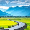 靠北機車八卦聊天團