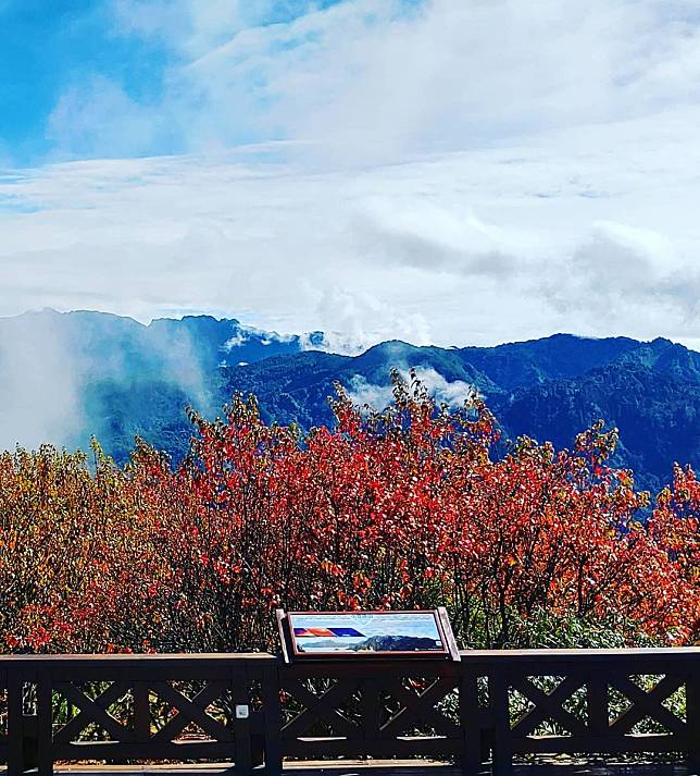 圖片來源：IG @summer_ming_yu