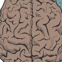 🧠知識變現