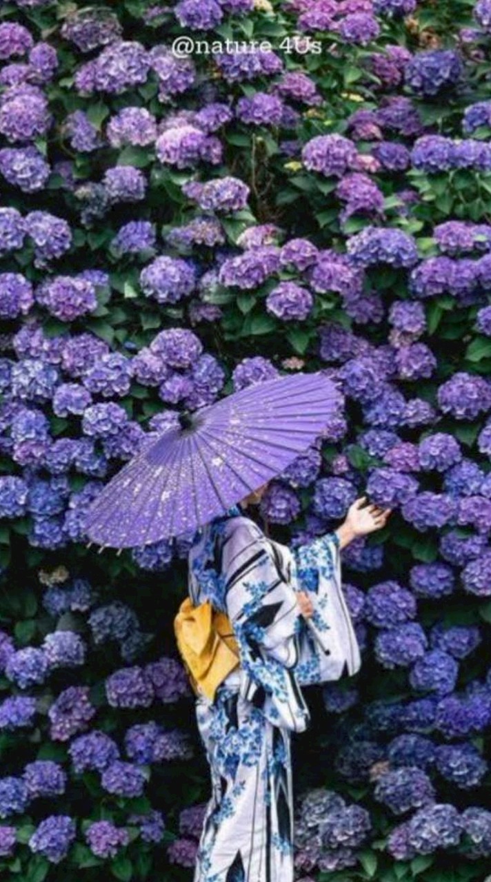 💎菜菜子👛各國代購 ✈️