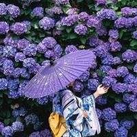 6/4-10🇯🇵大阪代購 🛒