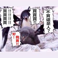小M茶坊