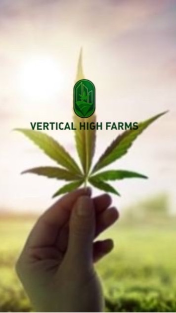 Vertical High Farms