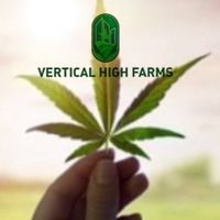 Vertical High Farms