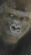ビジネス 自分の人生