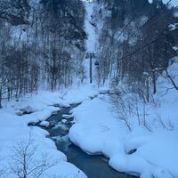 113-2南門國中國際英語專班