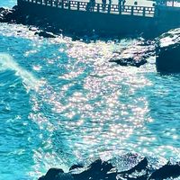 中正里排舞班