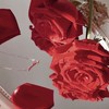 貴 方 を 守 り た い ＿＿＿