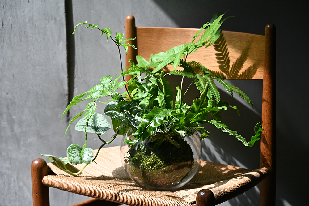 「苜一」設計的苔球屬於新手友善級別，以碎石鋪底，一方面讓植物的根呼吸，一方面作為澆水的基準線，就算是「黑手指」也能重拾成就感。(攝影/Carter)