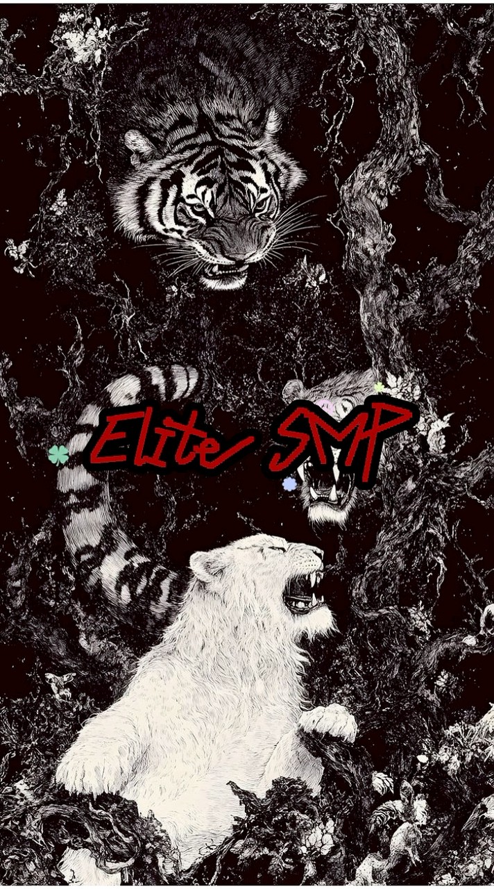 █▓▒░EliteSMP░▒▓█