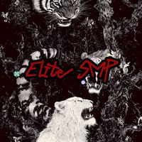 █▓▒░EliteSMP░▒▓█