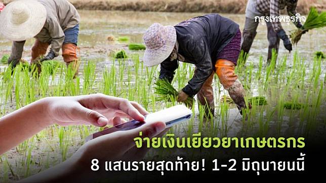 à¸•à¸£à¸§à¸ˆà¸ªà¸­à¸šà¸ª à¸—à¸˜ à¹€à¸‡ à¸™à¹€à¸¢ à¸¢à¸§à¸¢à¸²à¹€à¸à¸©à¸•à¸£à¸à¸£ 8 à¹à¸ªà¸™à¸£à¸²à¸¢à¸ª à¸