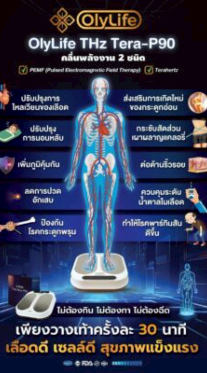 ข้อมูลOlylife