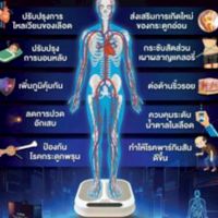 ข้อมูลOlylife