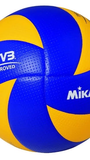 วอลเลย์บอลสีชมพู