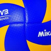 วอลเลย์บอลสีชมพู