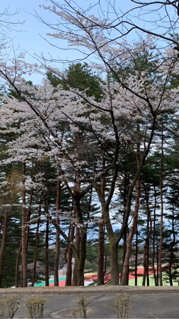 岐阜県民の会のオープンチャット