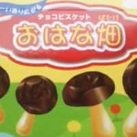 第6勢力   おはな畑!