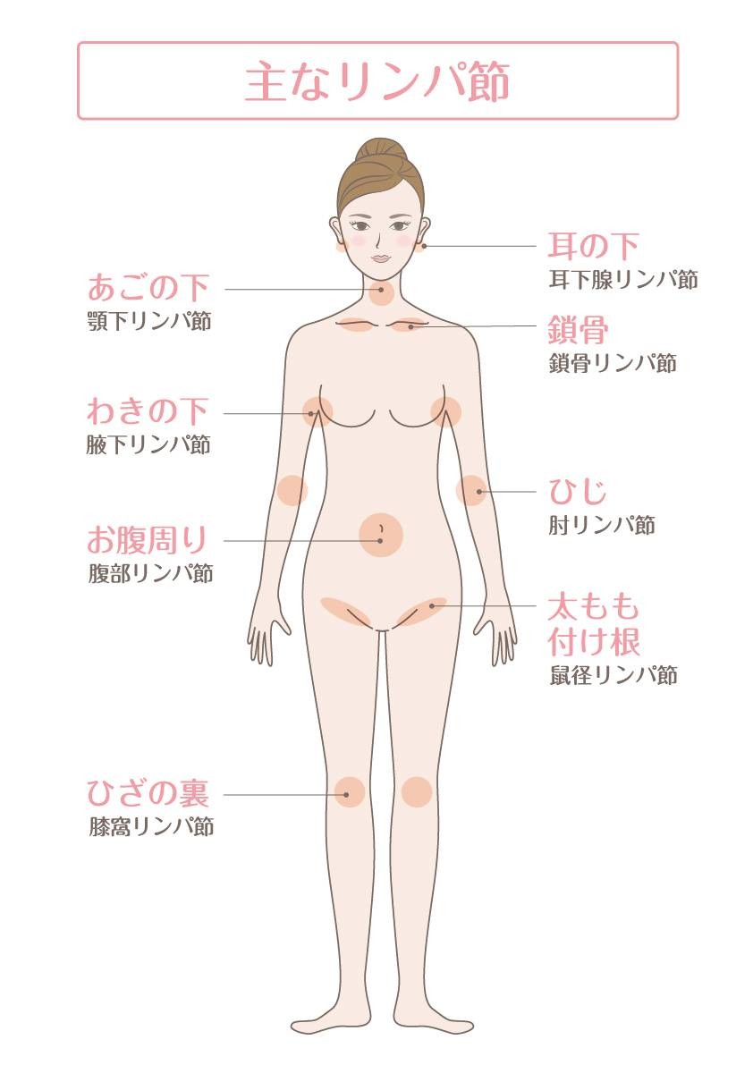 脇の下 ツボ 大包 痛い 脇の下 ツボ 大包 痛い Quangrojp