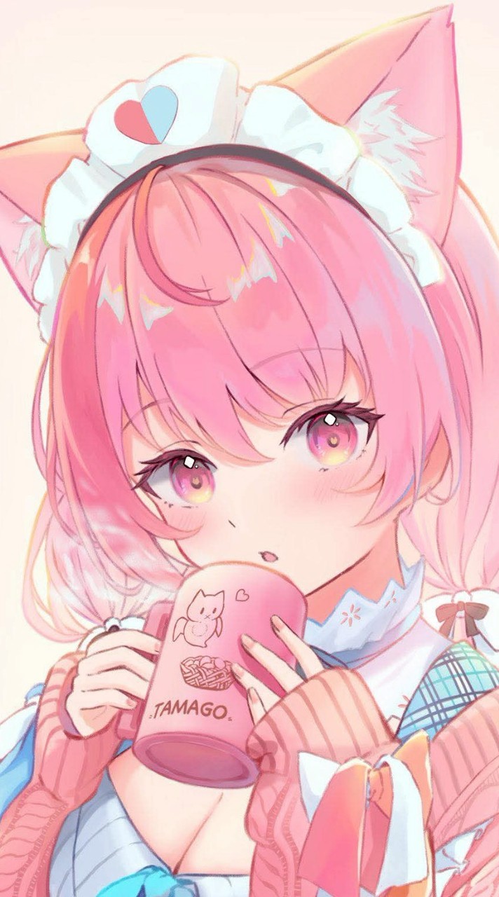 貓貓家族