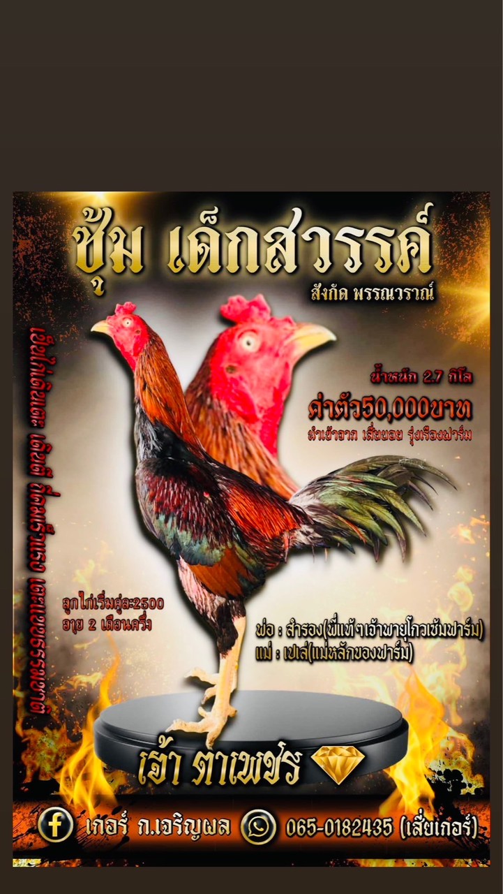 ซุ้ม เด็กสวรรค์ สังกัด พรรณวราณ์ ฟาร์ม