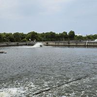 115年度蝦類繁養殖入門班（數位課程）