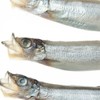 オメェらの好きなおかずを教えてくれぇ！