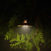 貝爾風格露營