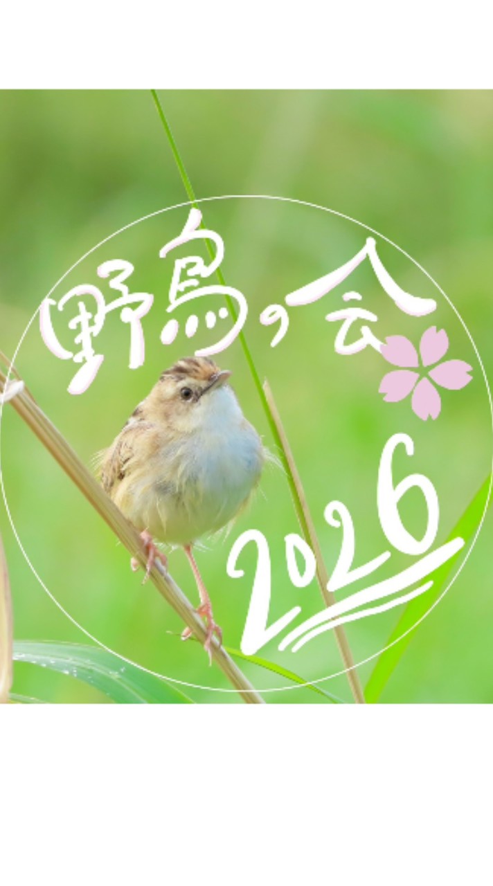東北大学野鳥の会 新歓2026