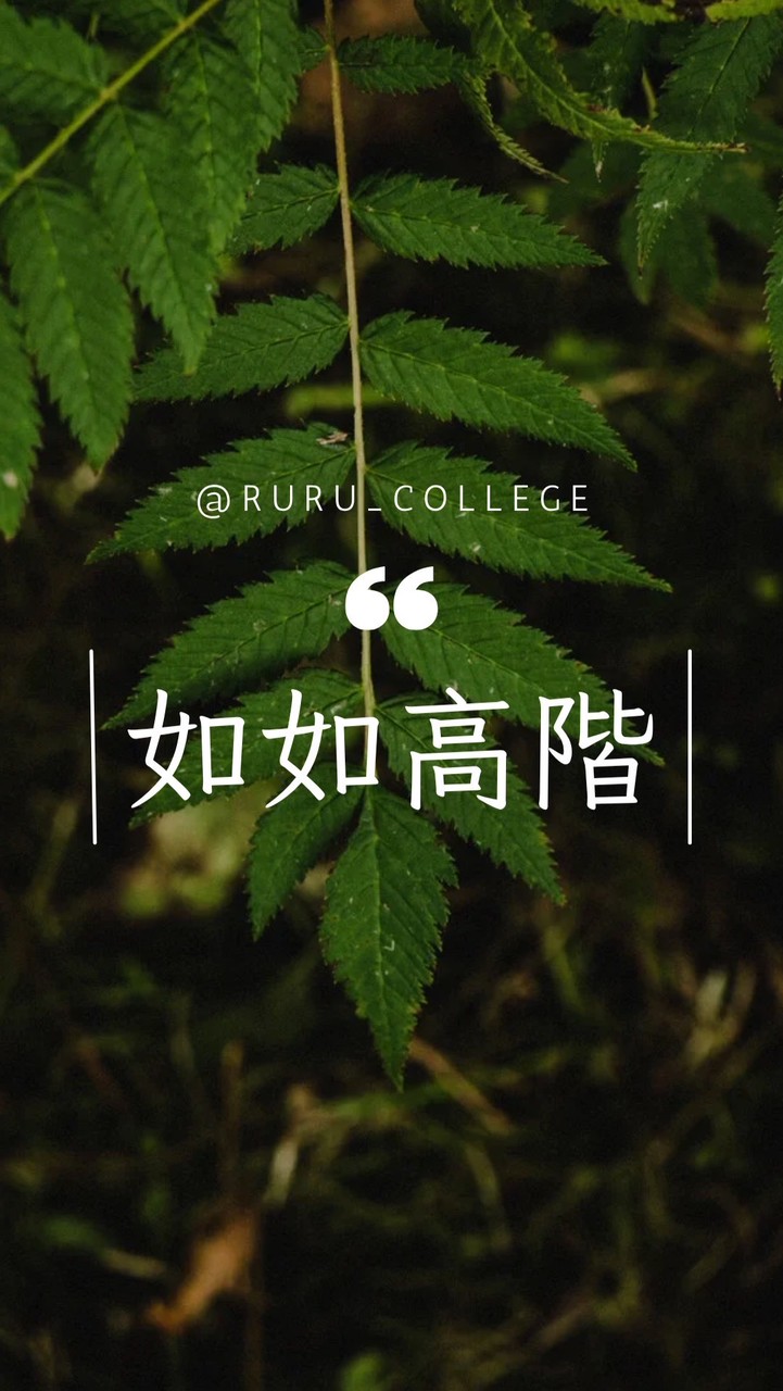 如如高階