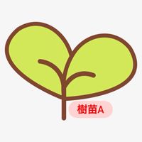 多芽-樹苗A班