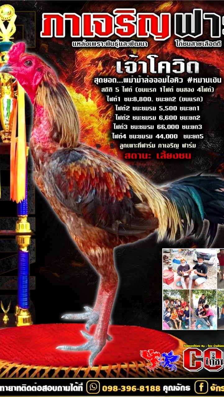 Pajaroen Fram