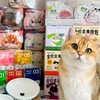 ร็อคเก็ต พรีออเดอร์ของแมว 🐈
